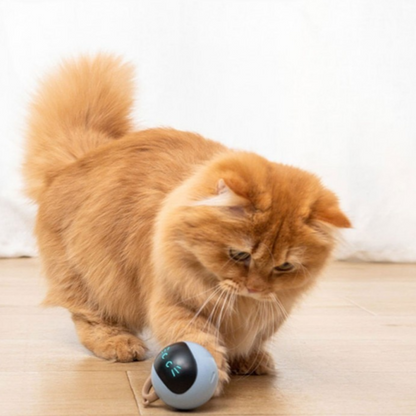 Smart Cat Toy