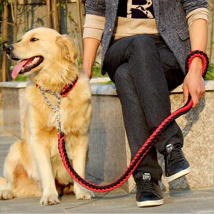 Double rope dog leash set by Kritter Krush with two sturdy, adjustable leashes for walking dogs comfortably together.