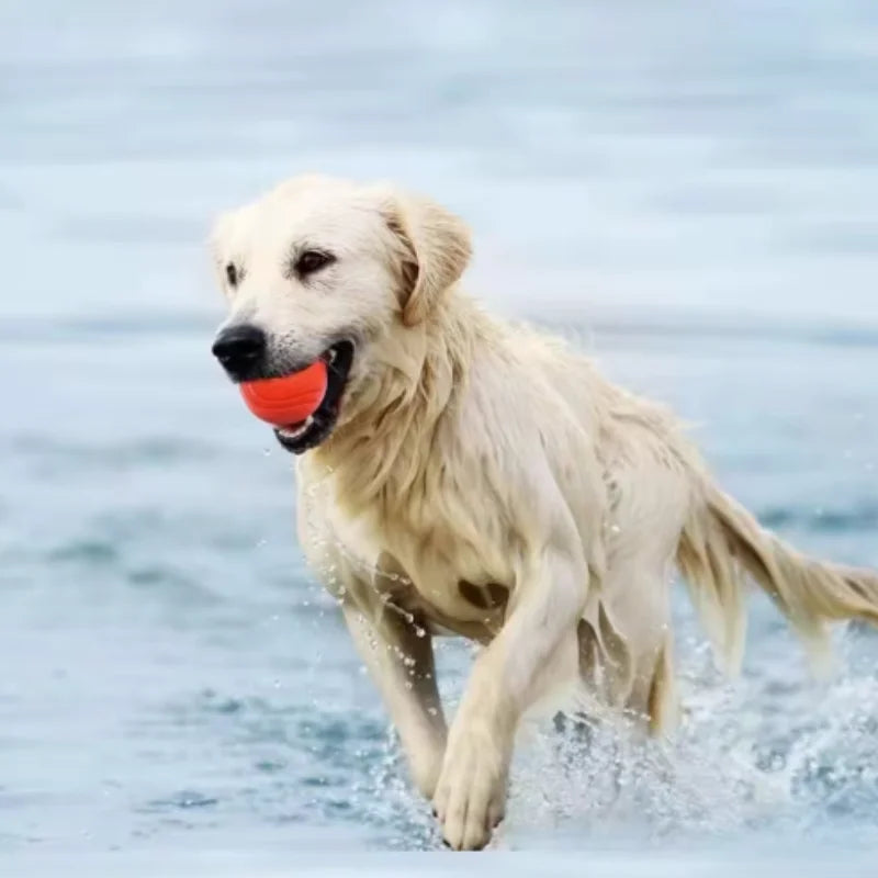 Kritter Krush rubber dog ball for fetch and play, durable and colorful pet toy on a plain background.