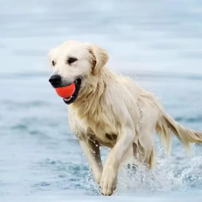 Kritter Krush rubber dog ball for fetch and play, durable and colorful pet toy on a plain background.