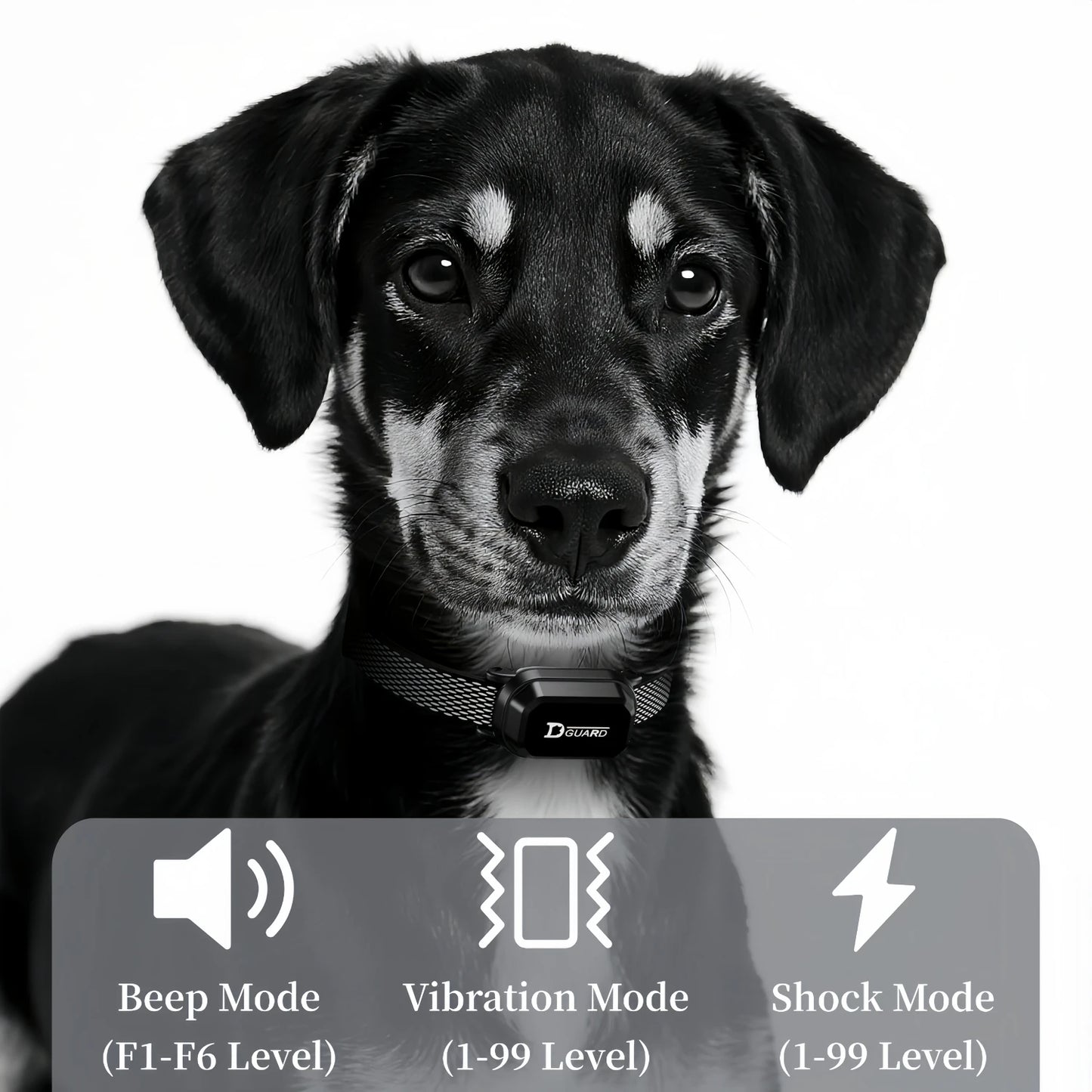 Kritter Krush dog training collar with adjustable strap and electronic control unit for effective pet obedience training.