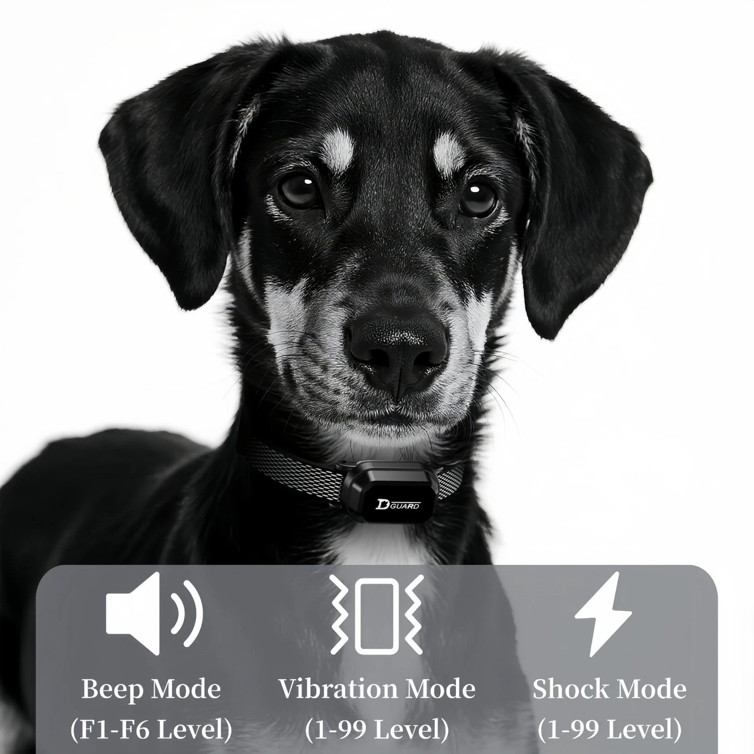 Kritter Krush dog training collar with adjustable strap and electronic control unit for effective pet obedience training.