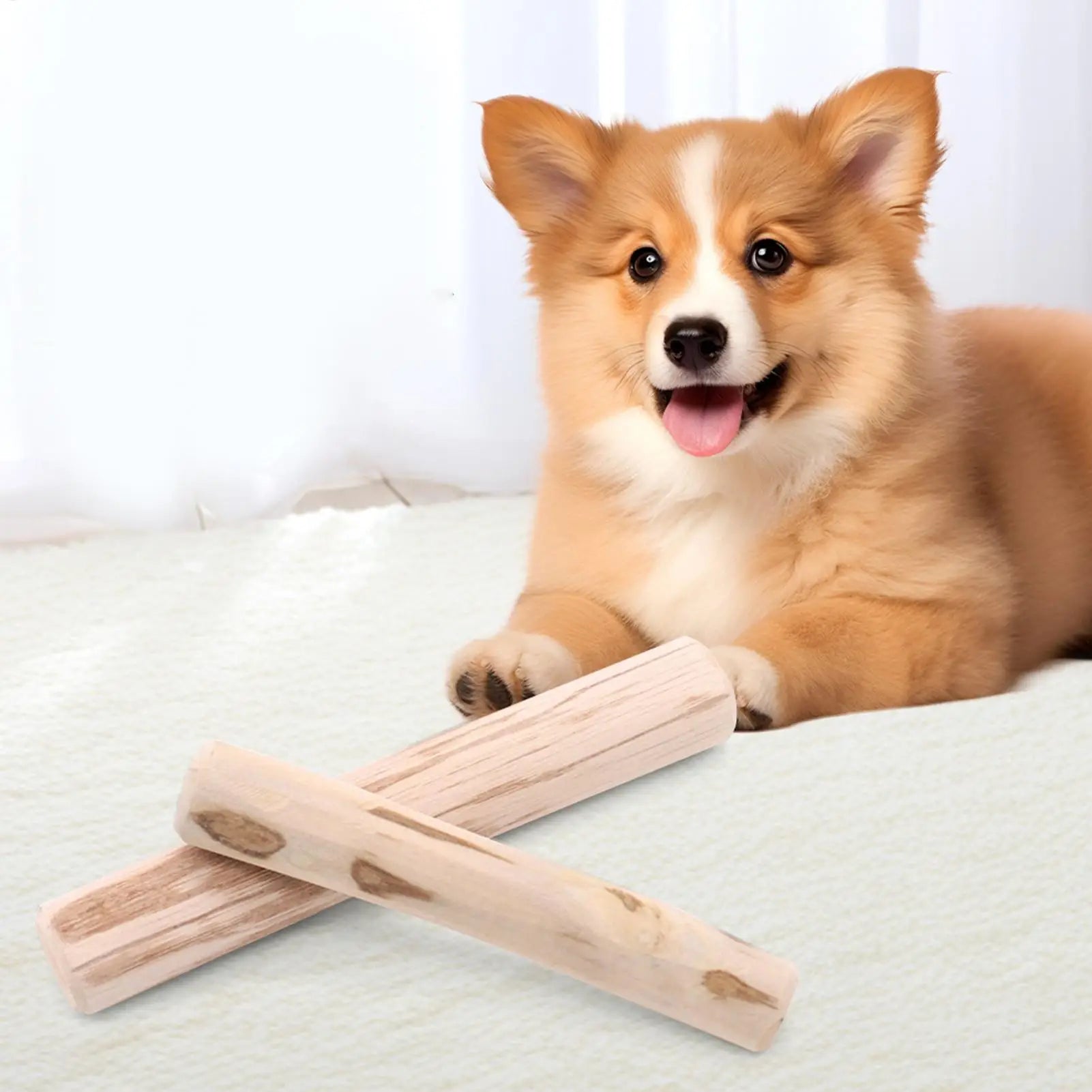 Dog chewing on natural coffee wood chew sticks by Pawzena Palace, showing the textured, durable wooden sticks for dogs.