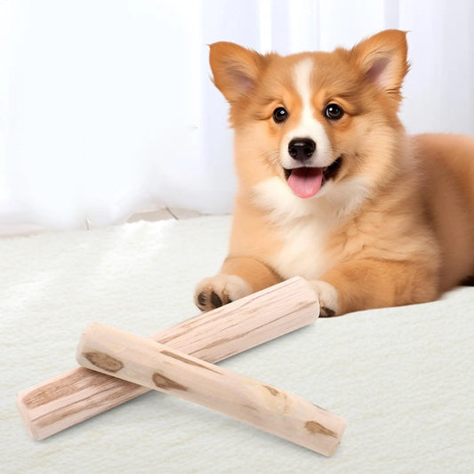 Dog chewing on natural coffee wood chew sticks by Pawzena Palace, showing the textured, durable wooden sticks for dogs.