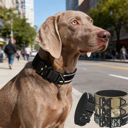 Kritter Krush tactical dog collar with durable nylon strap and metal buckle, designed for outdoor and training use.