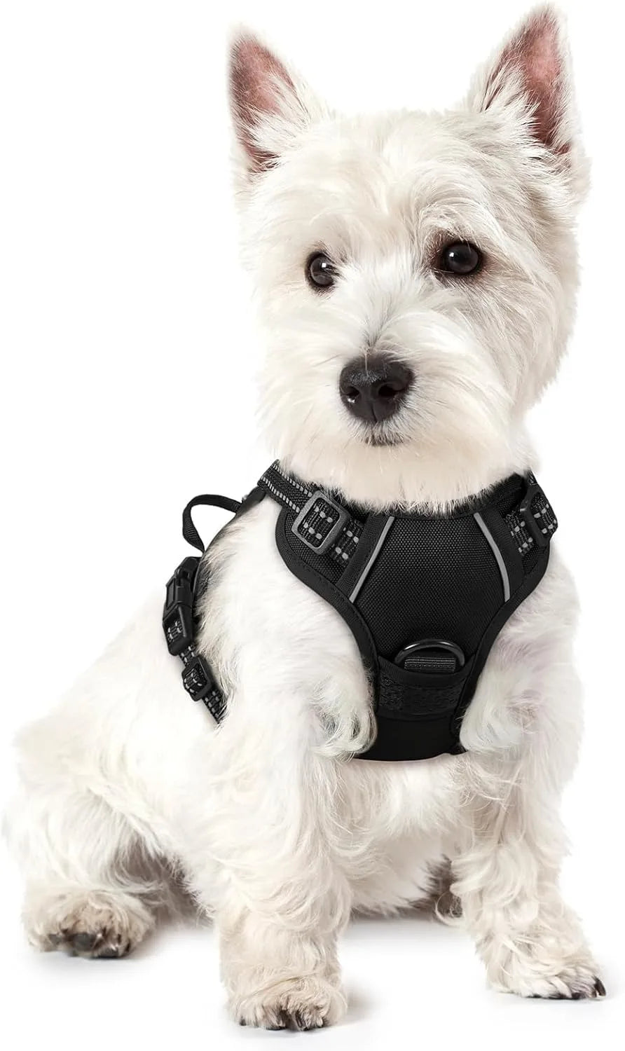 Reflective Kritter Krush dog harness with adjustable straps and bright reflective strips for visibility during nighttime walks.