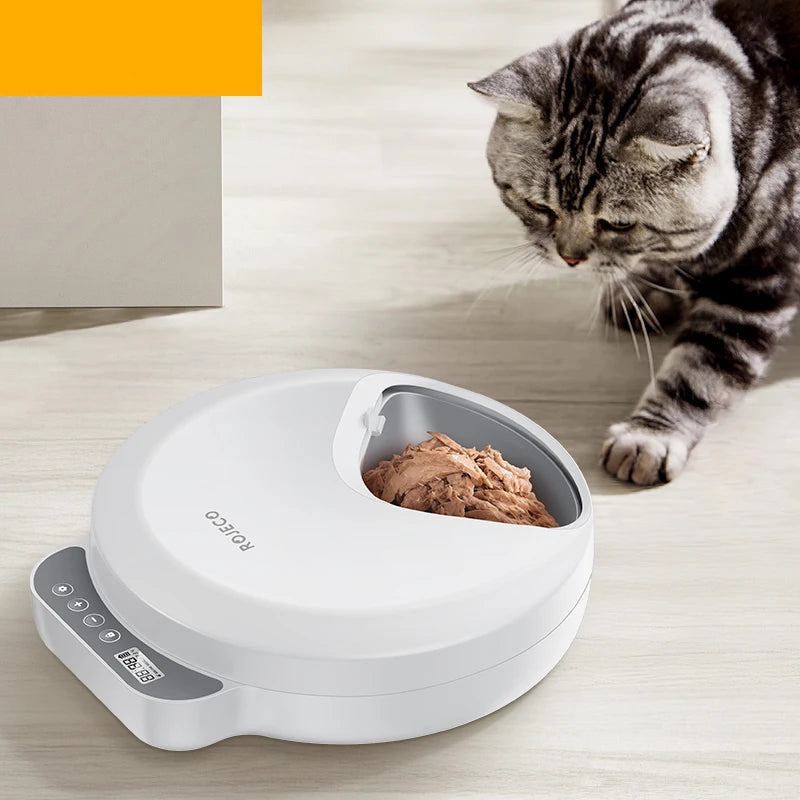 Kritter Krush automatic pet feeder with digital timer and food storage compartments for feeding cats and small dogs.