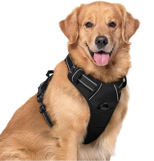 Reflective Kritter Krush dog harness with adjustable straps and reflective strips for visibility during nighttime walks.