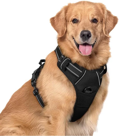 Reflective Kritter Krush dog harness with adjustable straps and reflective strips for visibility during nighttime walks.