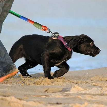 Elastic dog leash by Kritter Krush, showing the adjustable length and durable nylon material with a metal clip for secure attachment.