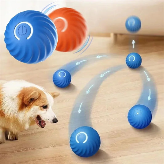 Smart Interactive Ball by Pawzena Palace, colorful pet toy with lights and textures for engaging play and mental stimulation.