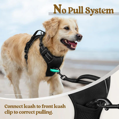 Reflective dog harness by Kritter Krush showing adjustable straps and reflective material for visibility during walks.