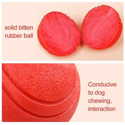 Kritter Krush rubber training ball for exercise and fitness, shown in close-up with textured surface and vibrant color.