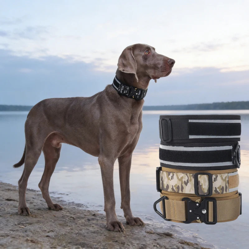 Kritter Krush tactical dog collar with adjustable straps and metal buckle, designed for durability and outdoor activities.