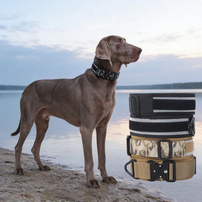 Kritter Krush tactical dog collar with adjustable straps and metal buckle, designed for durability and outdoor activities.
