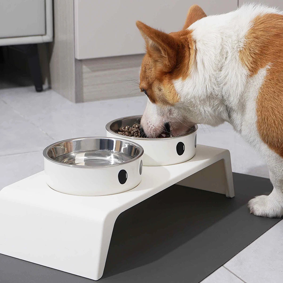 Kritter Krush elevated pet feeder with two stainless steel bowls on a sleek stand for comfortable pet dining
