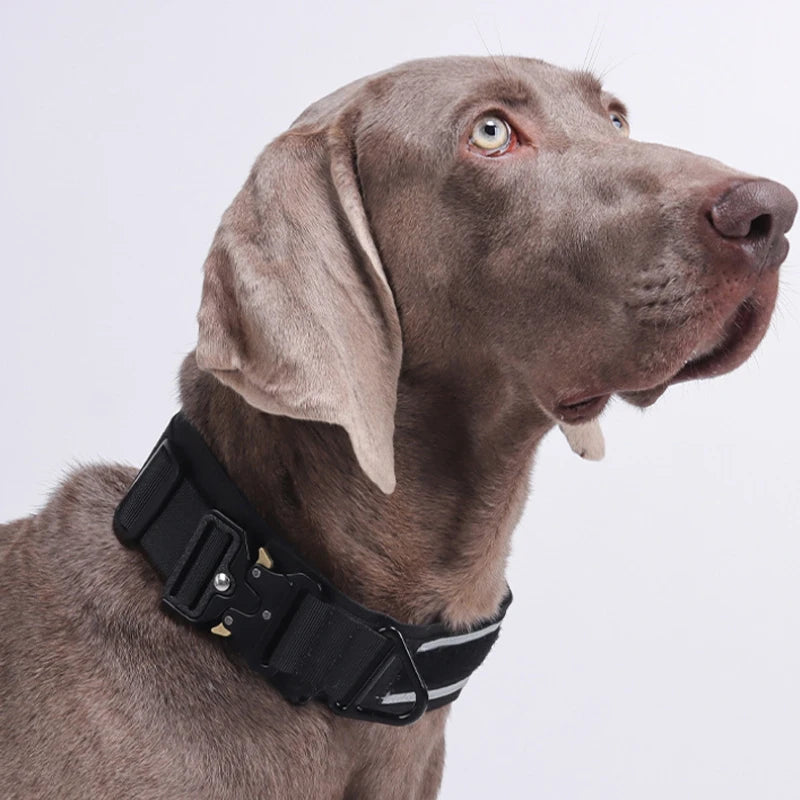 Black tactical dog collar from Kritter Krush with durable straps and metal buckle, designed for outdoor and training use.