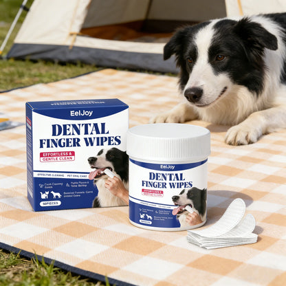Kritter Krush teeth cleaning wipes for pets, showing a pack of convenient, disposable wipes designed for dental hygiene.
