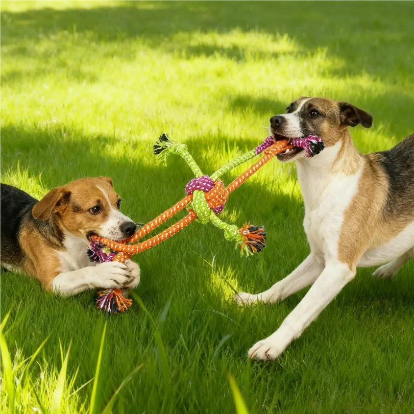 Colorful Rope Knot Toy from Pawzena Palace featuring intertwined cotton ropes and a sturdy knot for cats or dogs to chew and play with.