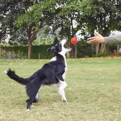 Kritter Krush rubber dog ball, durable and colorful pet toy suitable for fetch and play activities.