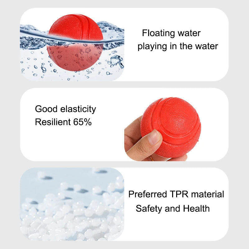 Kritter Krush rubber training ball for dogs, durable chew toy with textured surface, ideal for active play and dental health.
