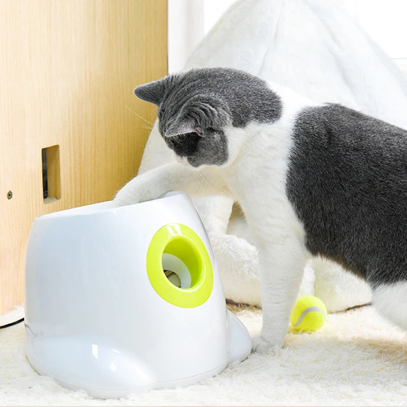 Kritter Krush ball launcher toy showing a colorful handheld device with a ball ready to launch for pets or kids.