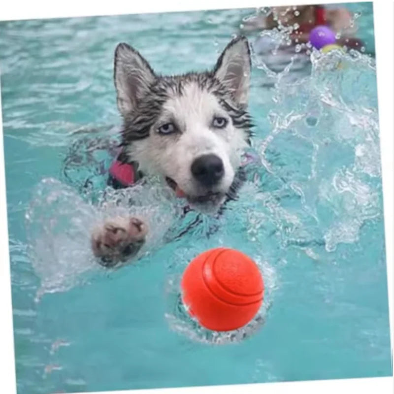 Kritter Krush rubber dog ball for pets, durable and colorful, suitable for play and fetch activities with dogs.