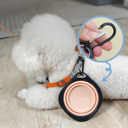 Kritter Krush folding pet bowl, portable silicone dog and cat bowl in compact, collapsible design for travel and outdoor use.