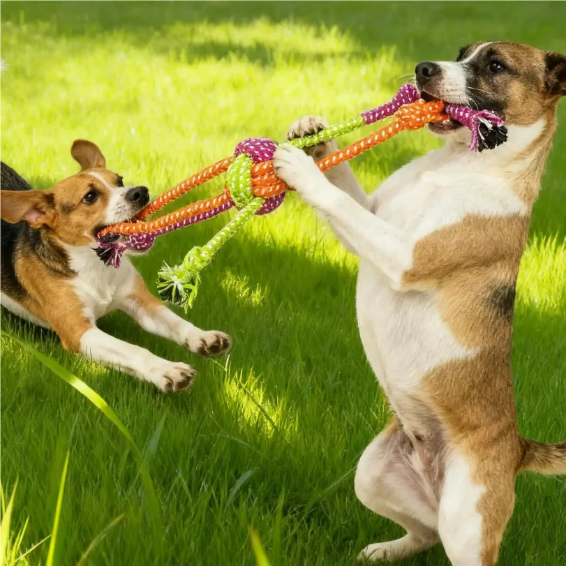 Colorful Rope Knot Toy for dogs by Pawzena Palace, featuring durable braided design perfect for chewing and tugging.